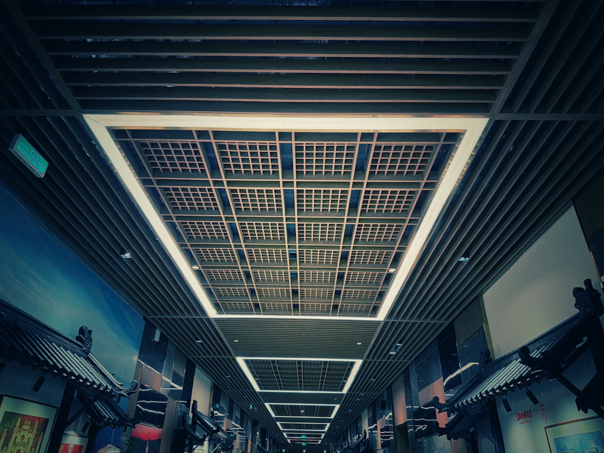 Ceiling and lighting service category
